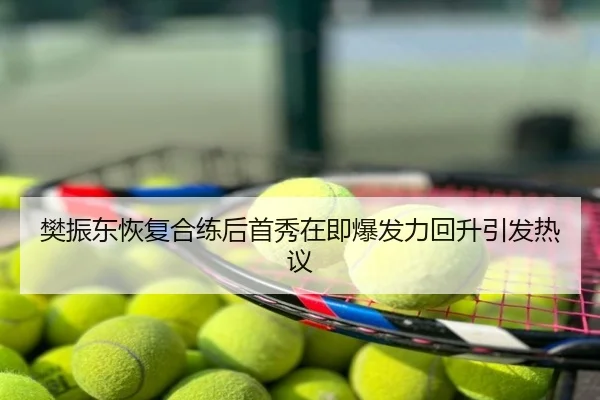 樊振东恢复合练后首秀在即爆发力回升引发热议